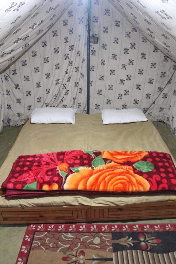 Hostel Cozy Beds กาซอล ภายนอก รูปภาพ